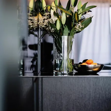 Appartement Penthouse *